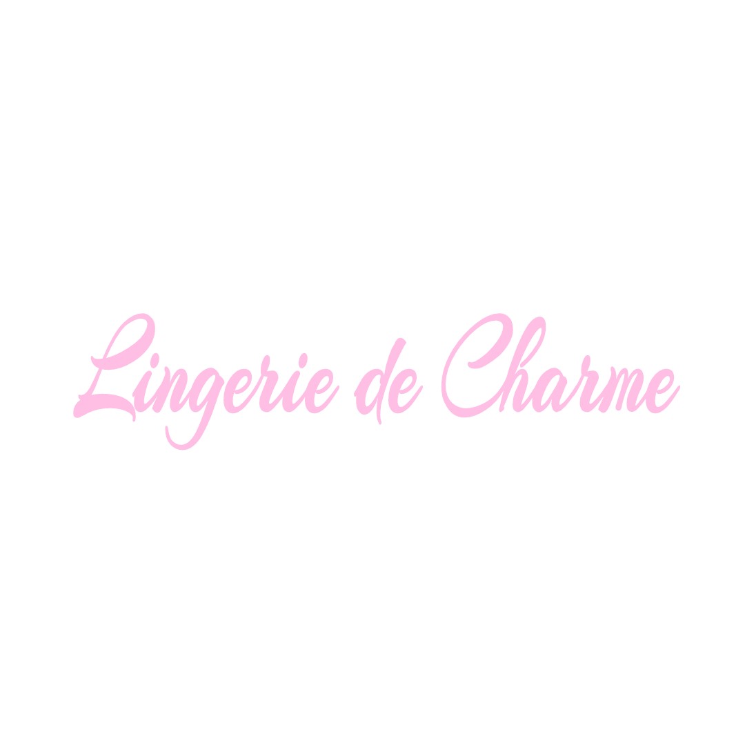 LINGERIE DE CHARME SAVIGNY-SUR-CLAIRIS